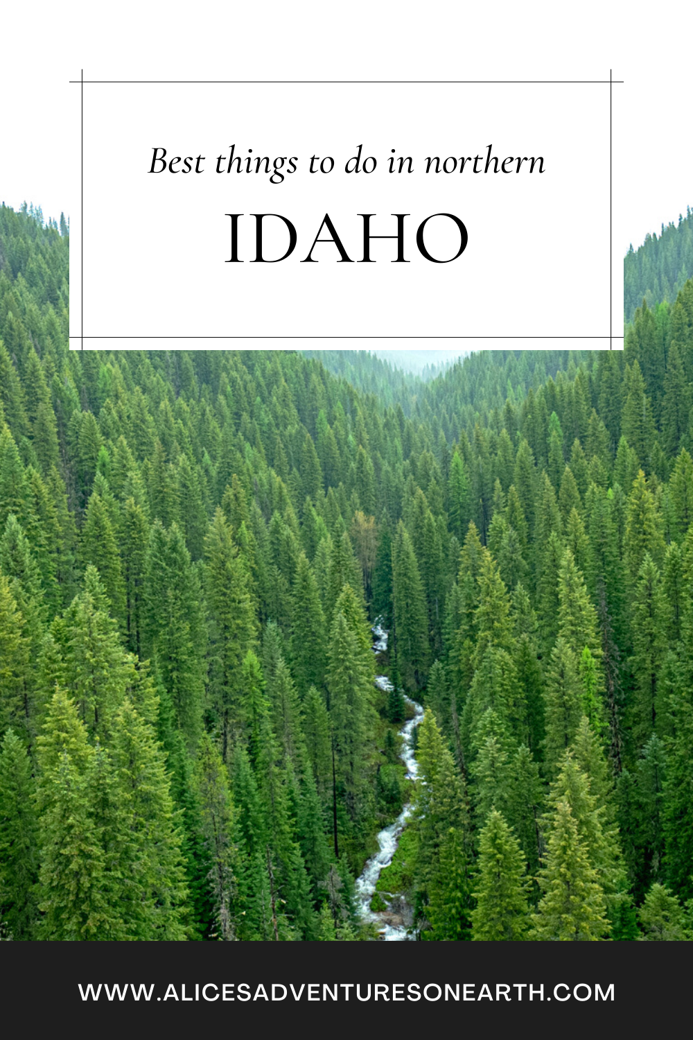 Best things to do in Northern Idaho, this area of the state has tons to do. #idaho #northernidaho #travel 