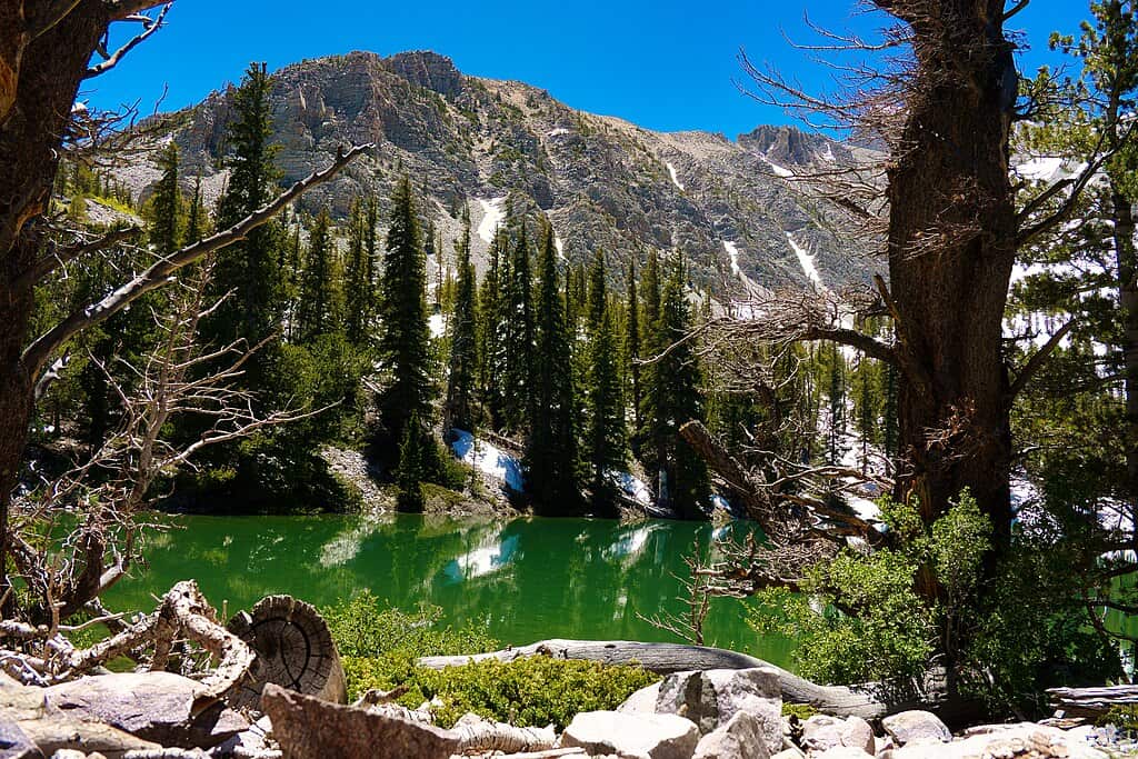 Great Basin National Park seen from a lake with mountains and evergreen trees reflecting off the surface on a clear day