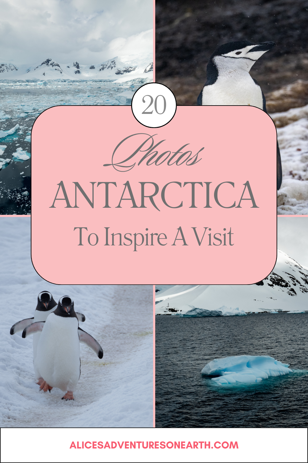 Dive into the icy wonders of Antarctica through our collection of 20 stunning photos 📸. These captivating snapshots are sure to leave you in awe and inspired to book your own adventure!  #antarctica #penguins 