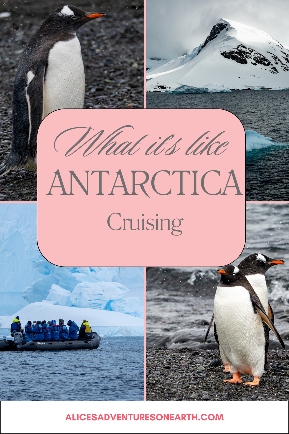 What its like to cruise to Antarctica and everything you can expect. on the icy peninsula. </p>
<p>#cruise #antarctica