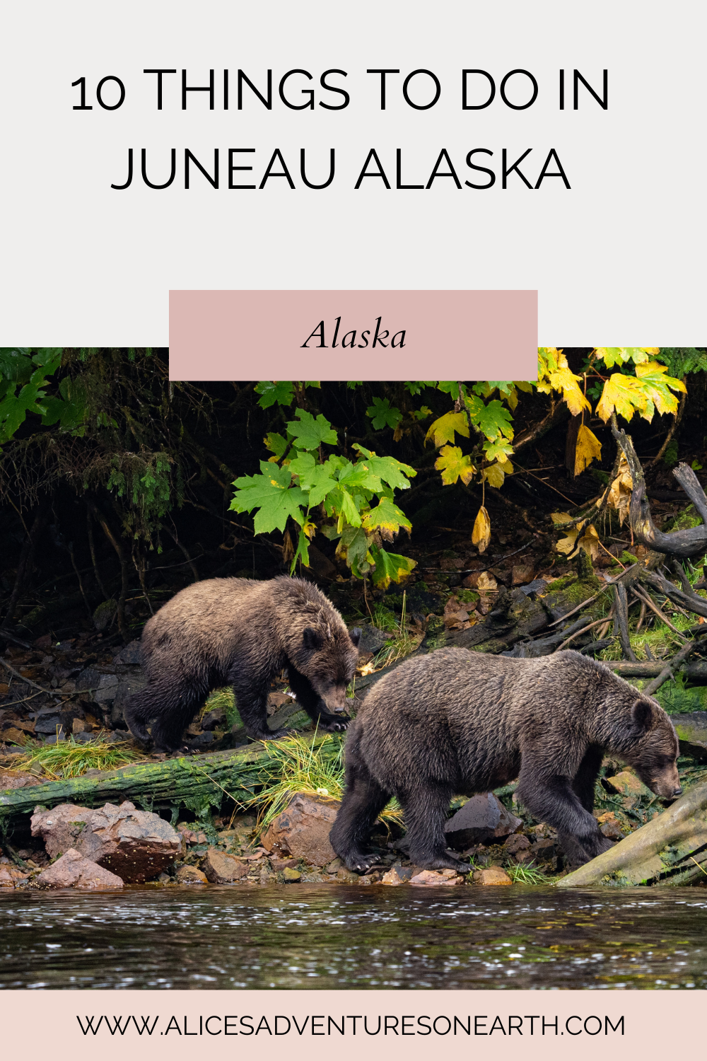 Best things to do in Juneau Alaska, activities, food and more. #alaska 