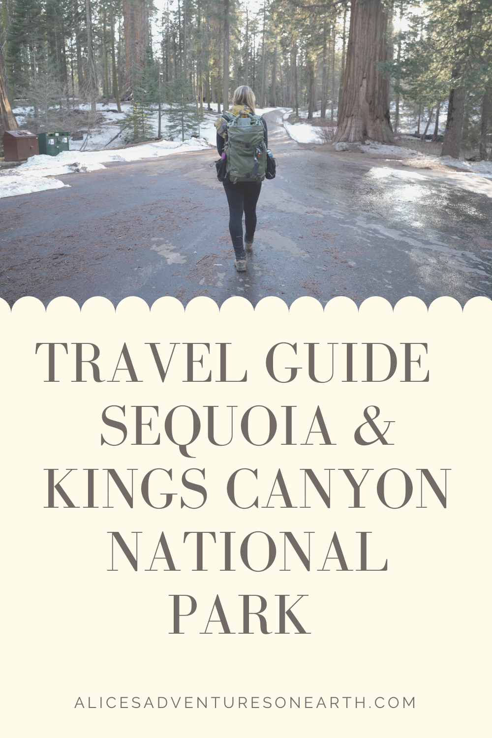 PLanning guide to Sequoia and kings canyon national park in California, what hikes to try, and where to go when in the park. #nationalparks #california 