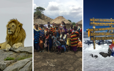 A lion on a rock in Serengeti, a group of Masaii, and Alice Ford at the summit of Kilimanjaro