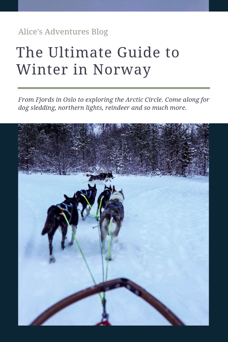 The ultimate guide to winter in norway: Alta, oslo and the arctic #reindeer #norway 