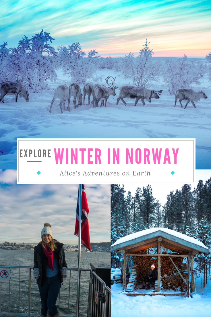 Exploring Norway in winter will take you to Oslo, the arctic and finnmark to her reindeer, dogsled and stay in an igloo.   #norway 