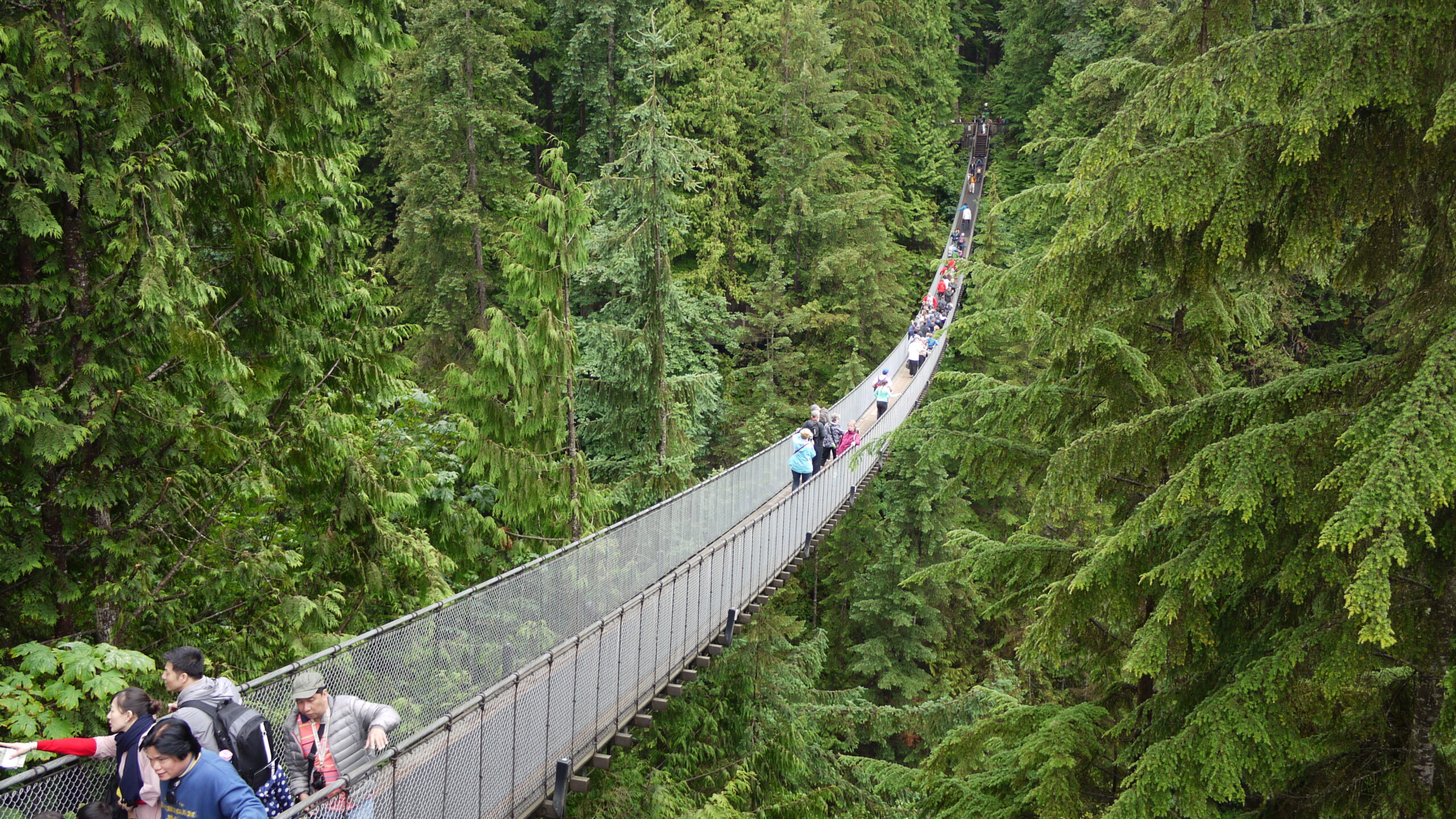 tourists on capilano suspension bridge in Vancouver british Columbia canada