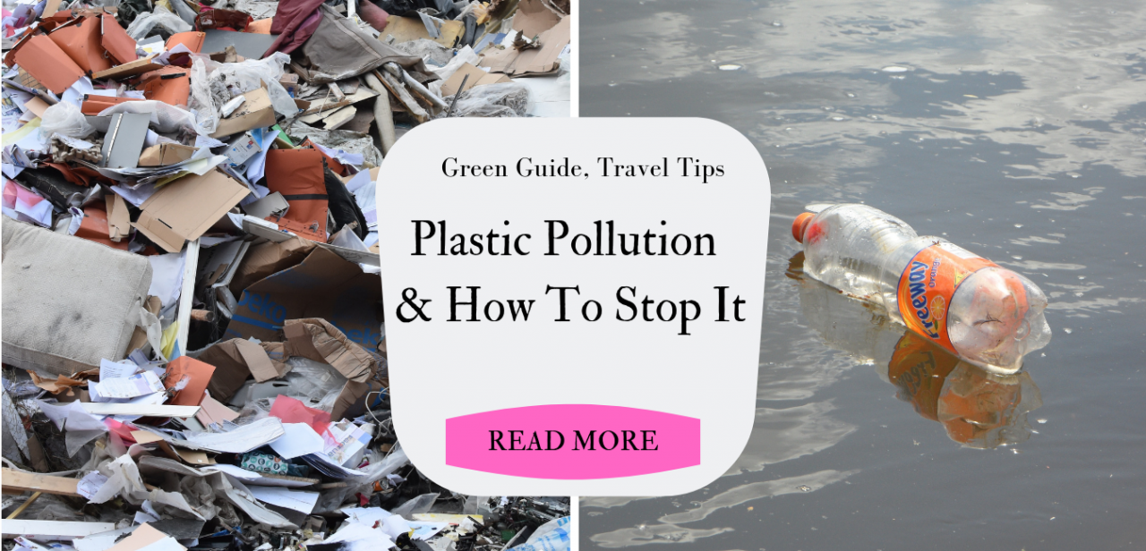 How to go Plastic Free & Fight Pollution