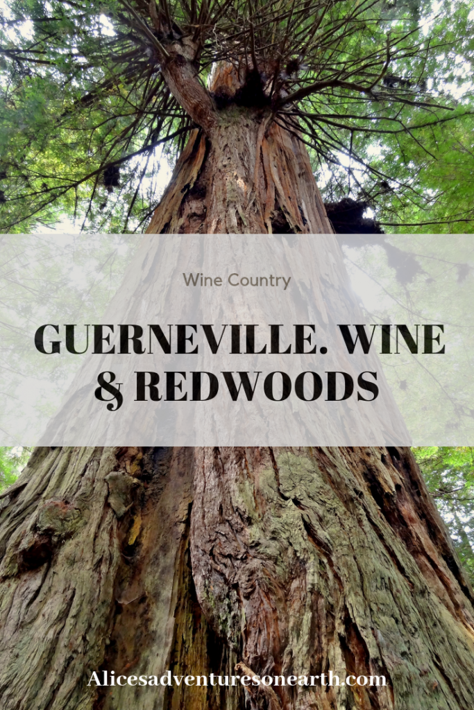 Located along the Russian River in Sonoma the town of Guerneville is a great place to stay while visiting wine country. Explore the redwoods, stay in a B& B, bike to the coast or dine on exquisite food while visiting the lively gay riviera.