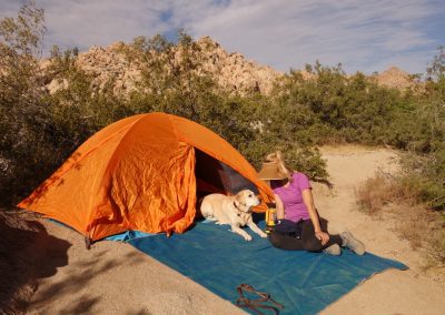 Alice and her dog Louie camping in Joshua Tree