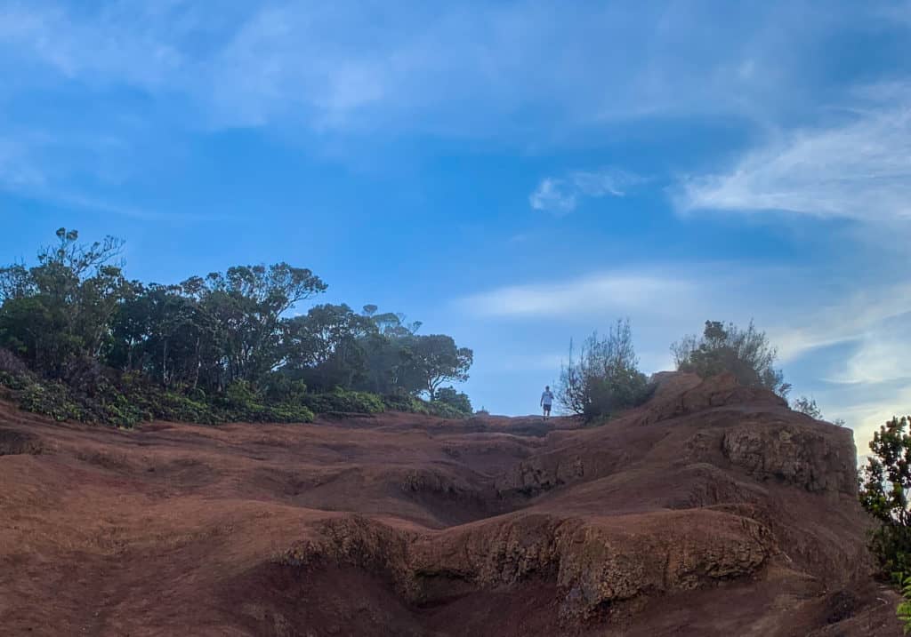 Beginning of the Pihea Trail