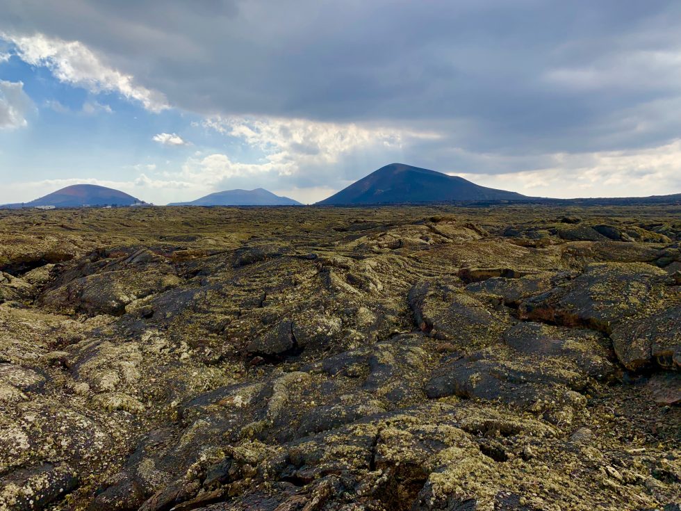 Island Guide to The Canary Islands