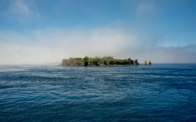 An island off the coast of Cape Flattery in Washington state. Alice's Adventures on Earth Itinerary to the Olympic Peninsula