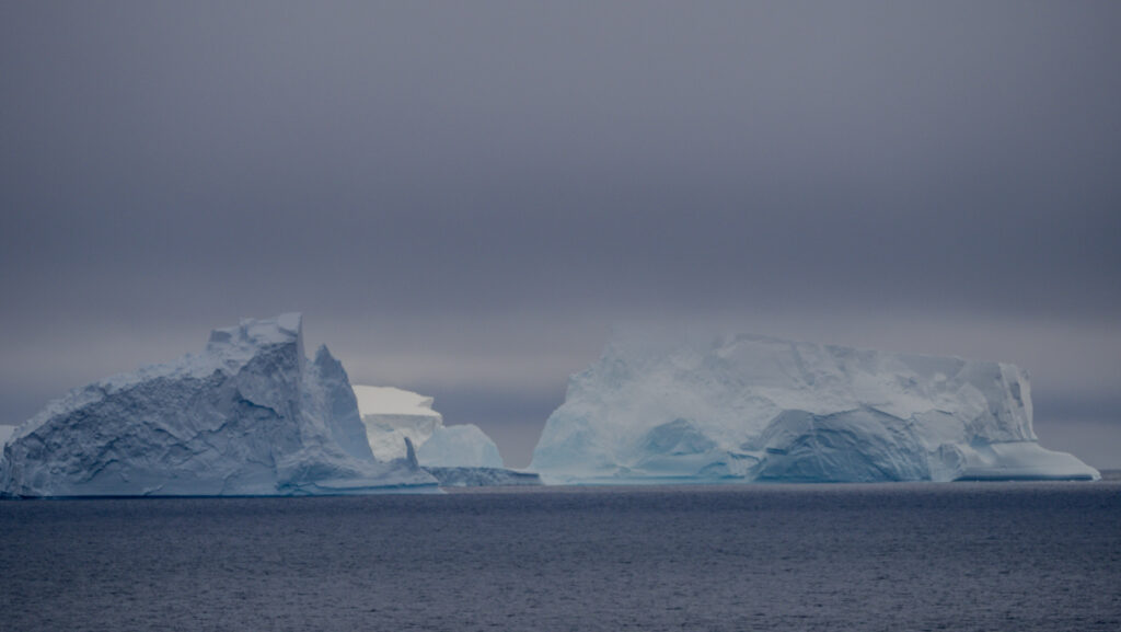 icebergs in antarctica
