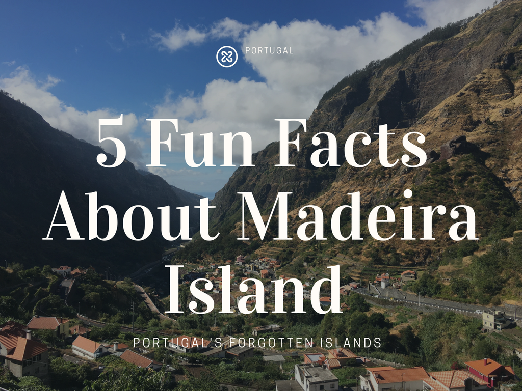 5 Fun Facts about Madeira Island - ALICE&#039;S ADVENTURES - Adventure Tourism