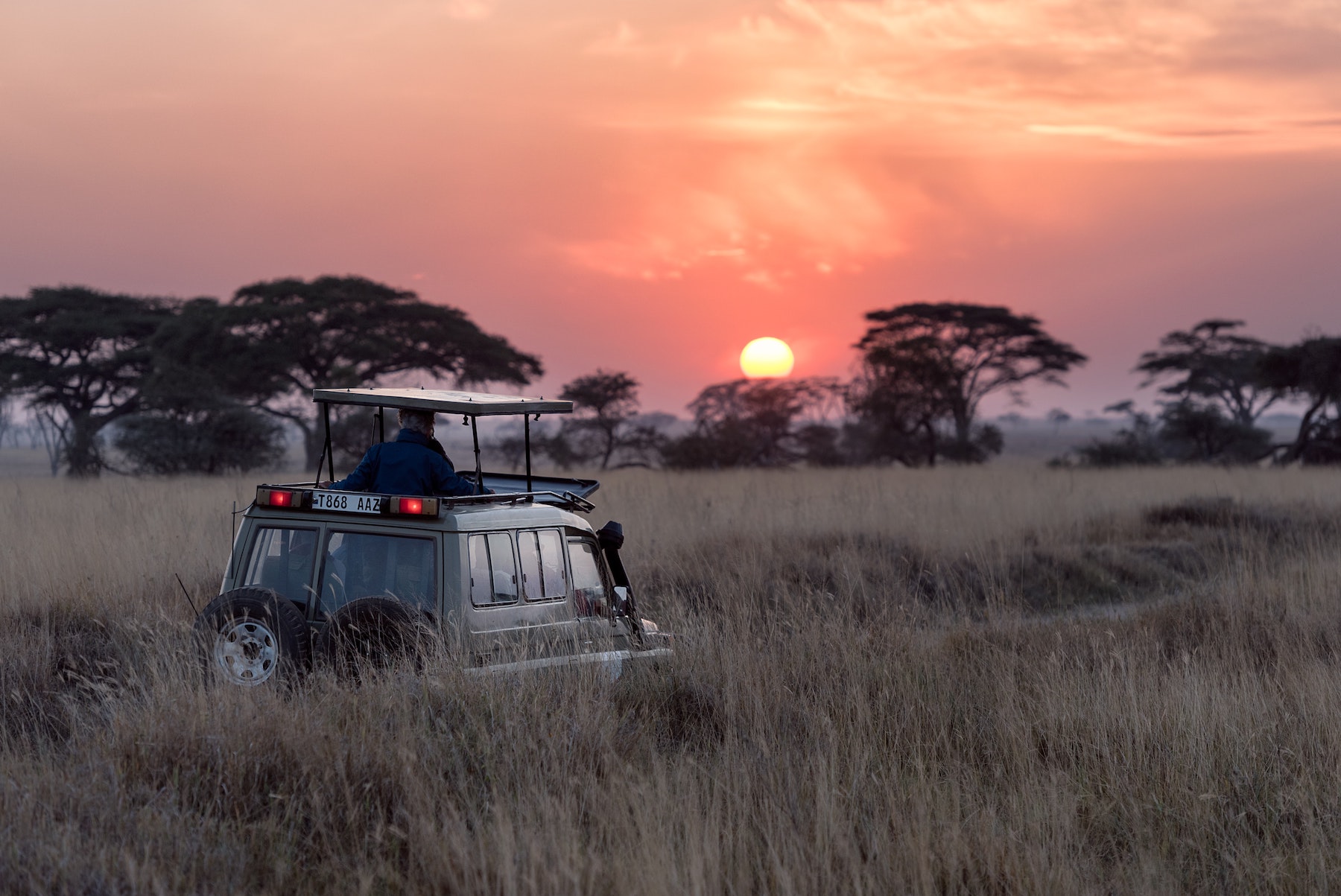 A jeep makes its way through the savannah on an African safari as the sun sets.