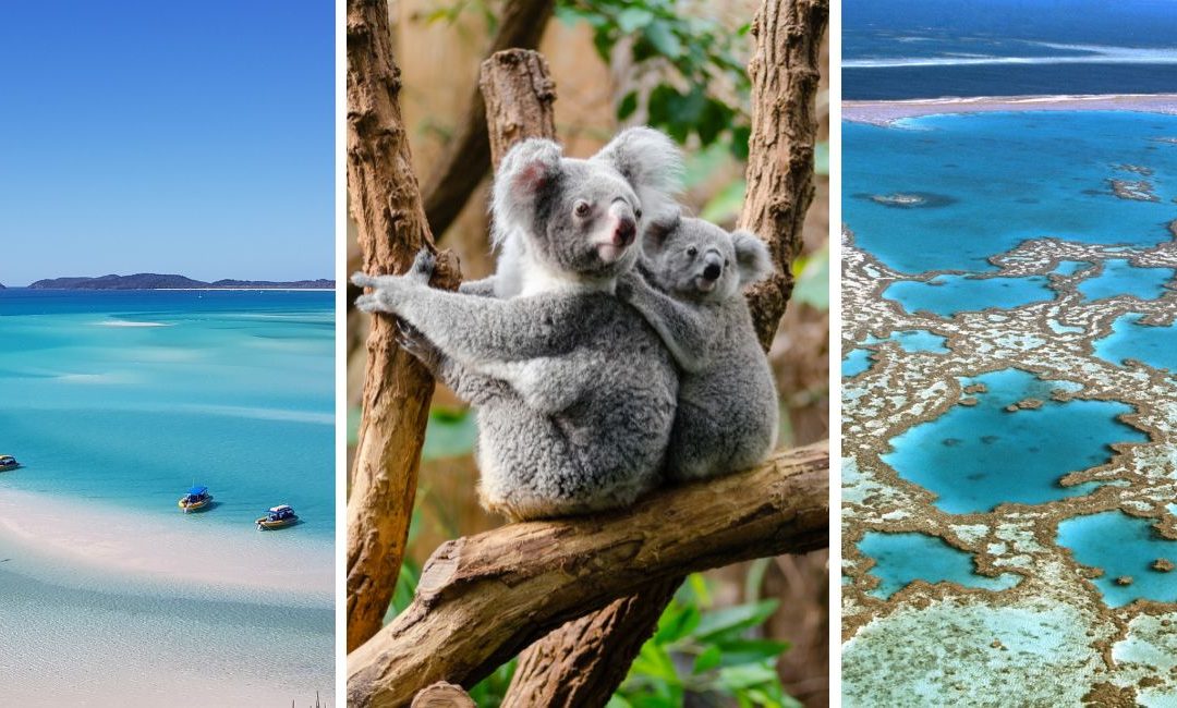 4 Australian Adventures You Must Try