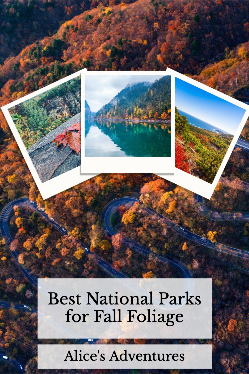 Best places to see fall foliage at National Parks around the world. #nationalparks #autumn #fallcolors 