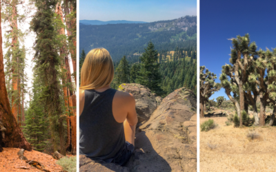 California National Parks featuring Sequoia, Jacob Tree, and Lassen Volcanic