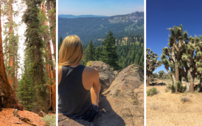 The Complete Guide to All Nine California National Parks