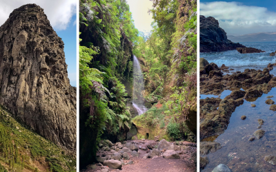 Three images depicting different landscpaes across the Canary Islands