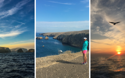 Channel Islands National Park Guide: Islands, Hikes, and More