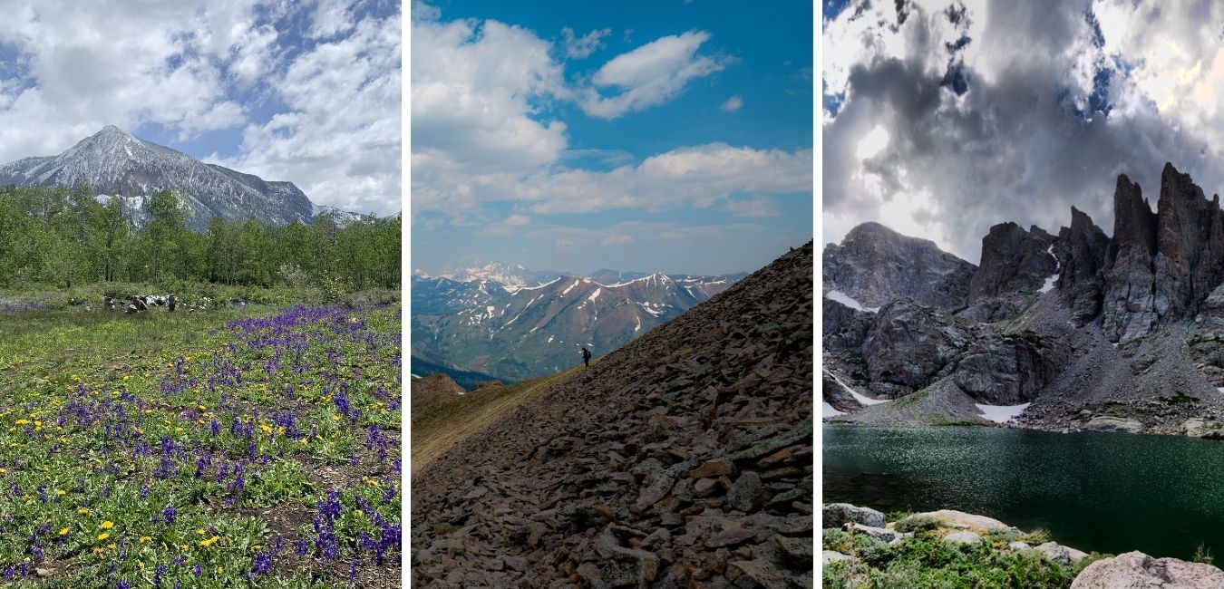 Colorado's Best Spring Hikes for Wildflowers