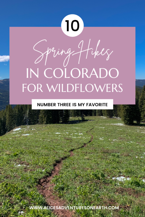Colorado's Best Spring Hikes for Wildflowers - ALICE'S ADVENTURES ON EARTH