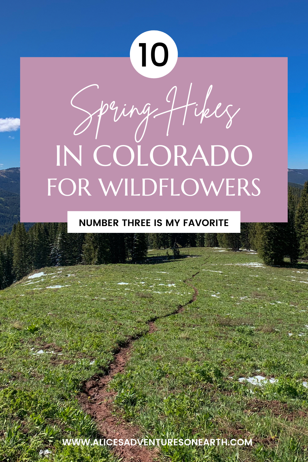 10 spring hikes in Colorado for wildflowers and views