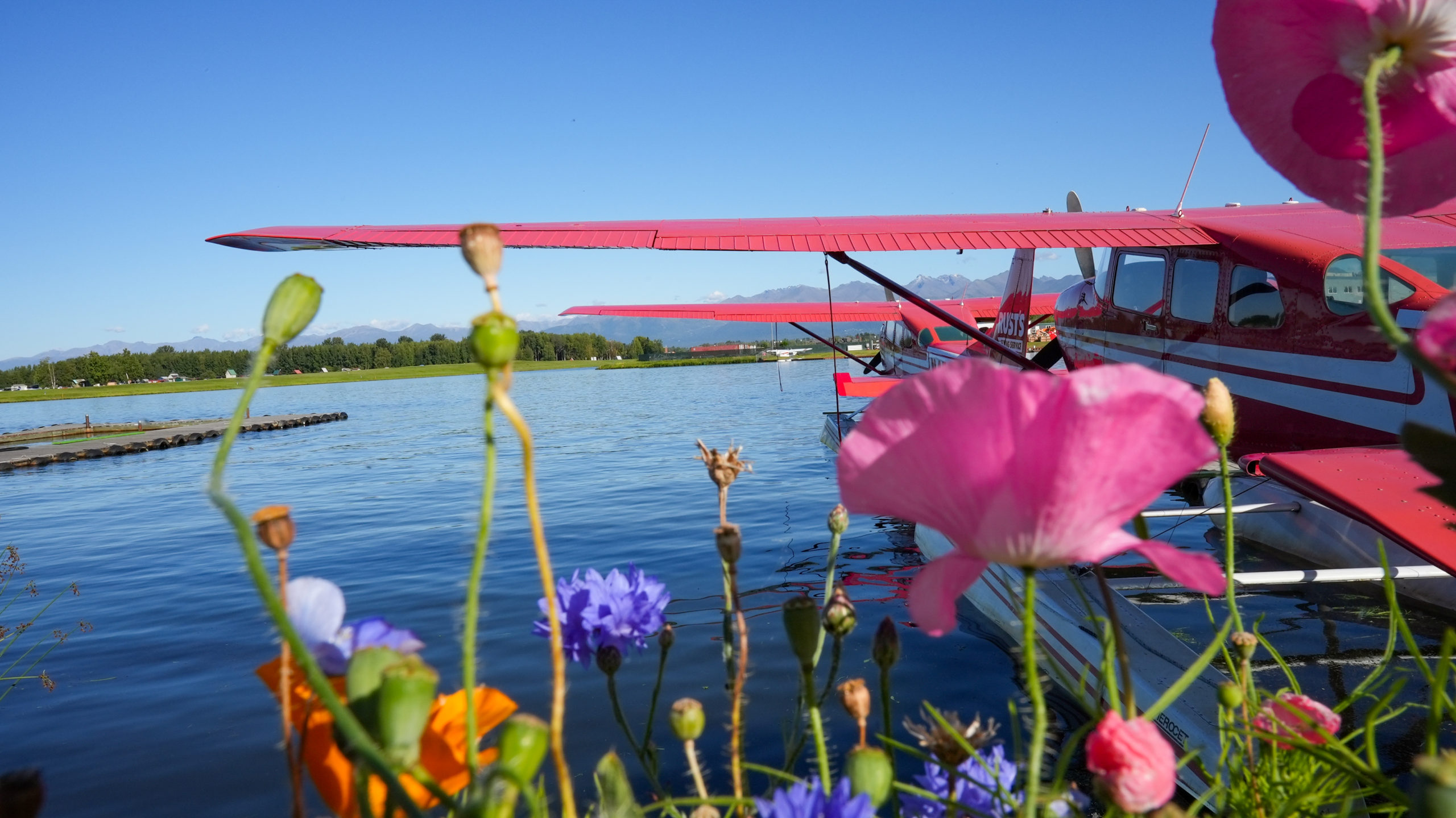 Seaplane behiind bright flowers anchorage alaska 