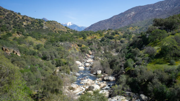 Sequoia National Park Planning Guide