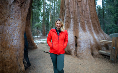 Alice Ford stands amongst giant Sequoia trees in Sequoia National Park