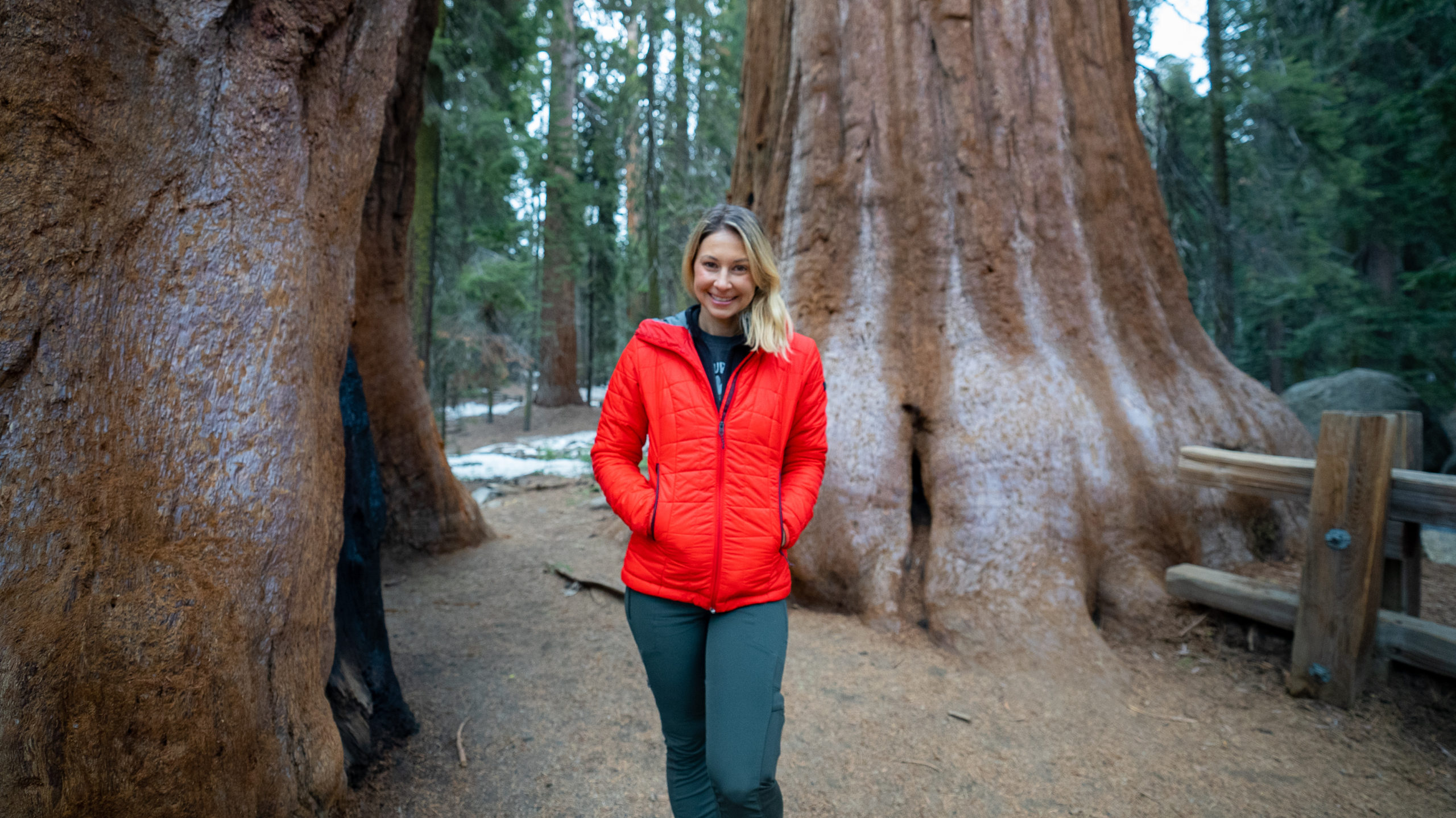 Alice Ford stands amongst giant Sequoia trees in Sequoia National Park