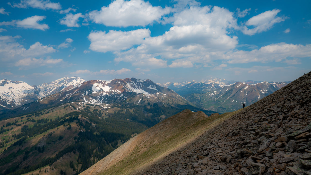 Colorado's Best Spring Hikes for Wildflowers