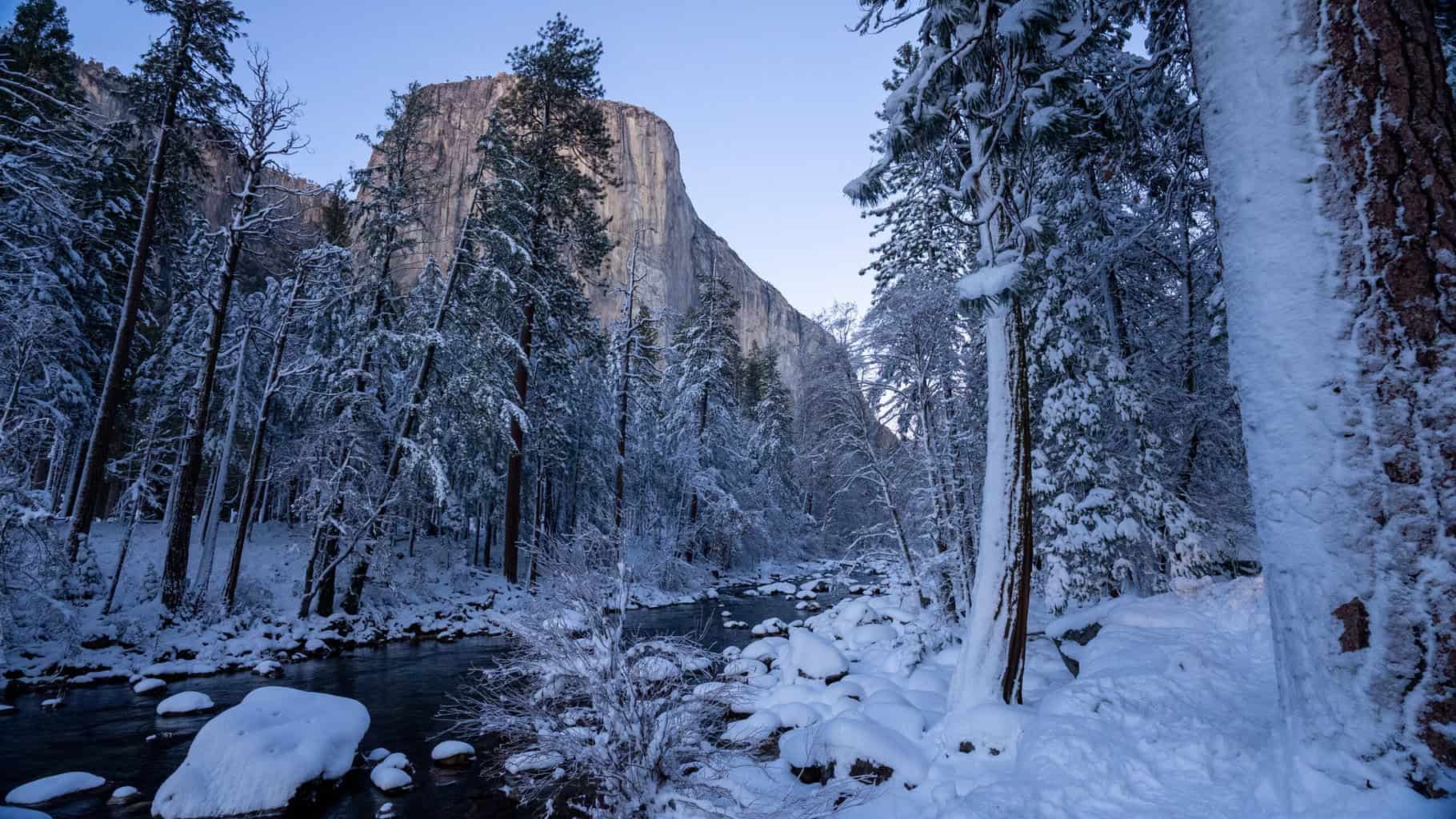 Winter scene in yosemite national park- 8 best winter activities in yosemite national park 