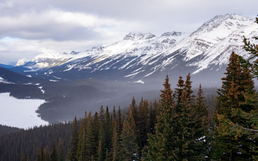 The Icefields Parkway: A Winter Guide for the Most Beautiful Drive in Banff National Park