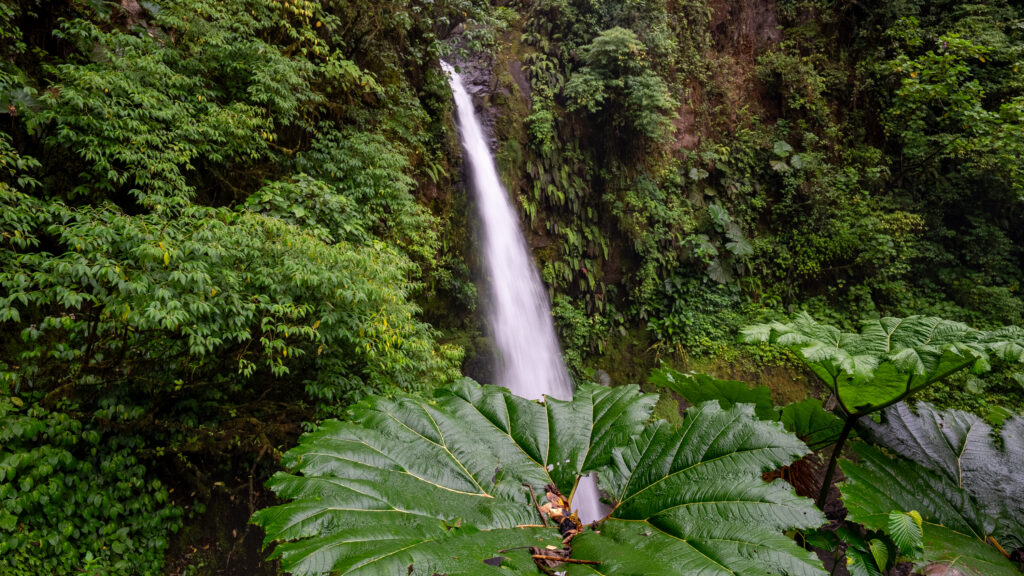 A waterfall along the roadside on the drive to La Fortuna in Costa Rica