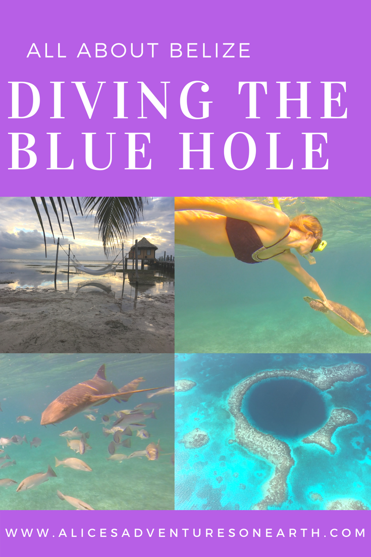 Ambergris Caye in Belize is the best spot for a diving vacation in Belize. A laid back island with great restaurants, beautiful reef and phenomenal snorkeling and scuba diving. #belize #travel #scuba