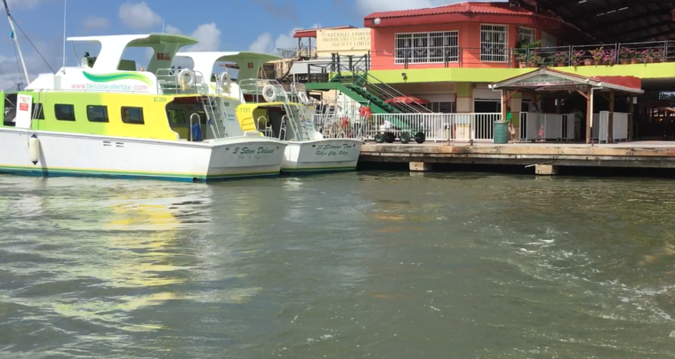 Ambergris Caye Diving Belize's Great Blue Hole
