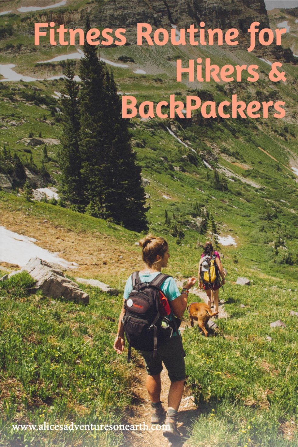 Stay in Shape- A Training Guide for Hikers & Backpackers - ALICE'S ...