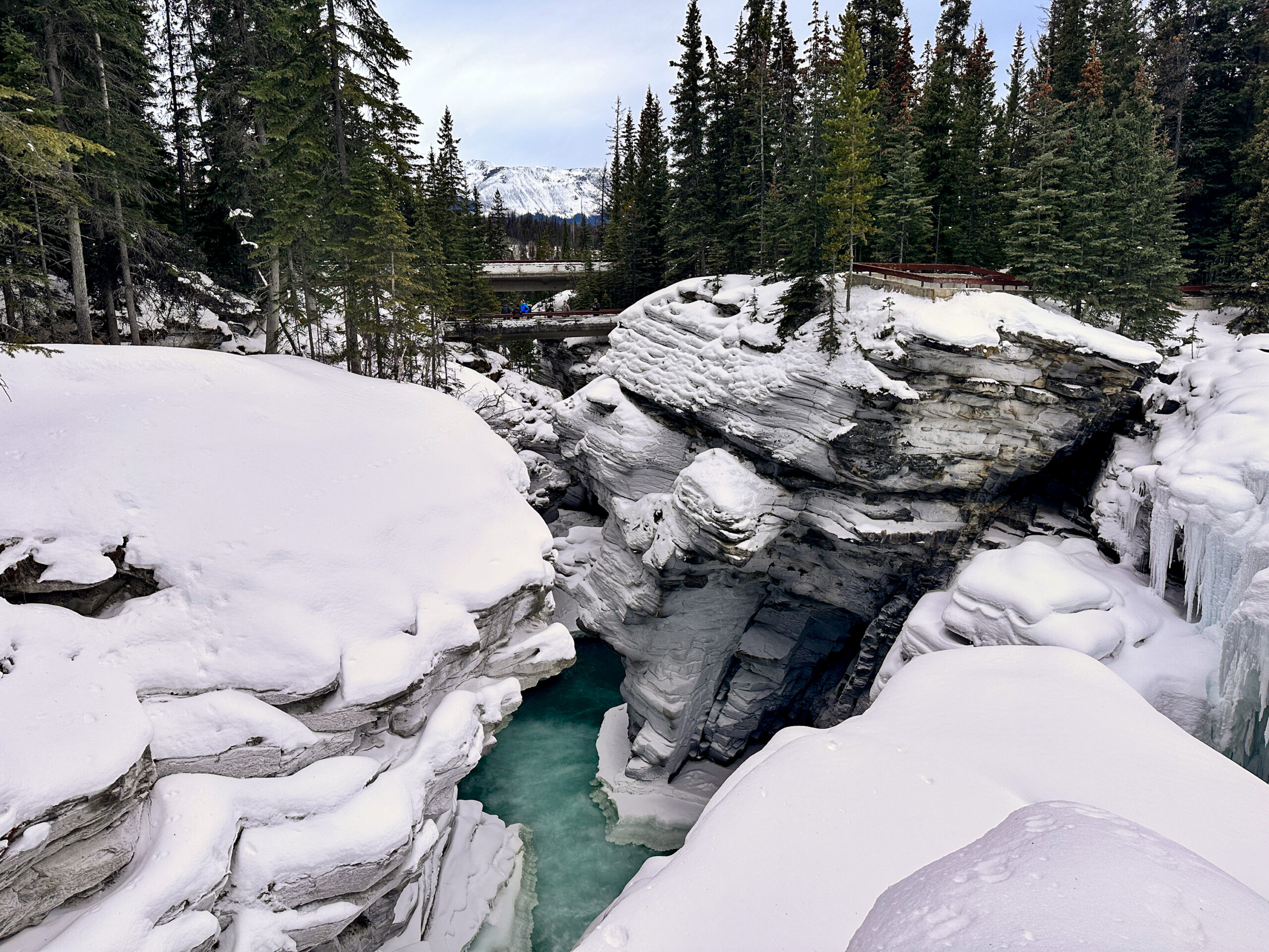 Athabasca Falls along the icefields parkway in winter in Jasper national park 