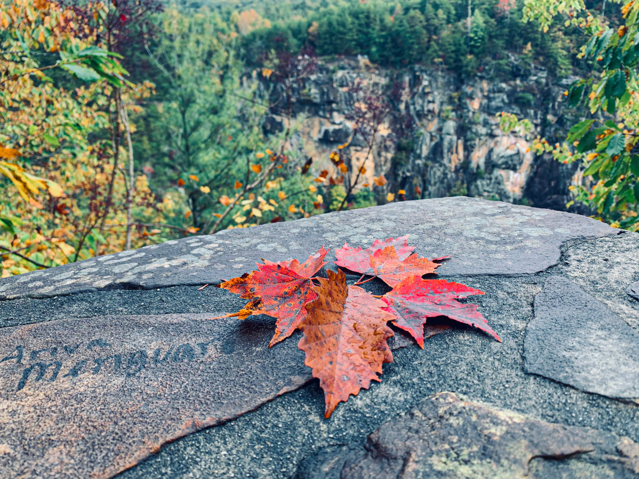 Best National Parks for Fall Foliage