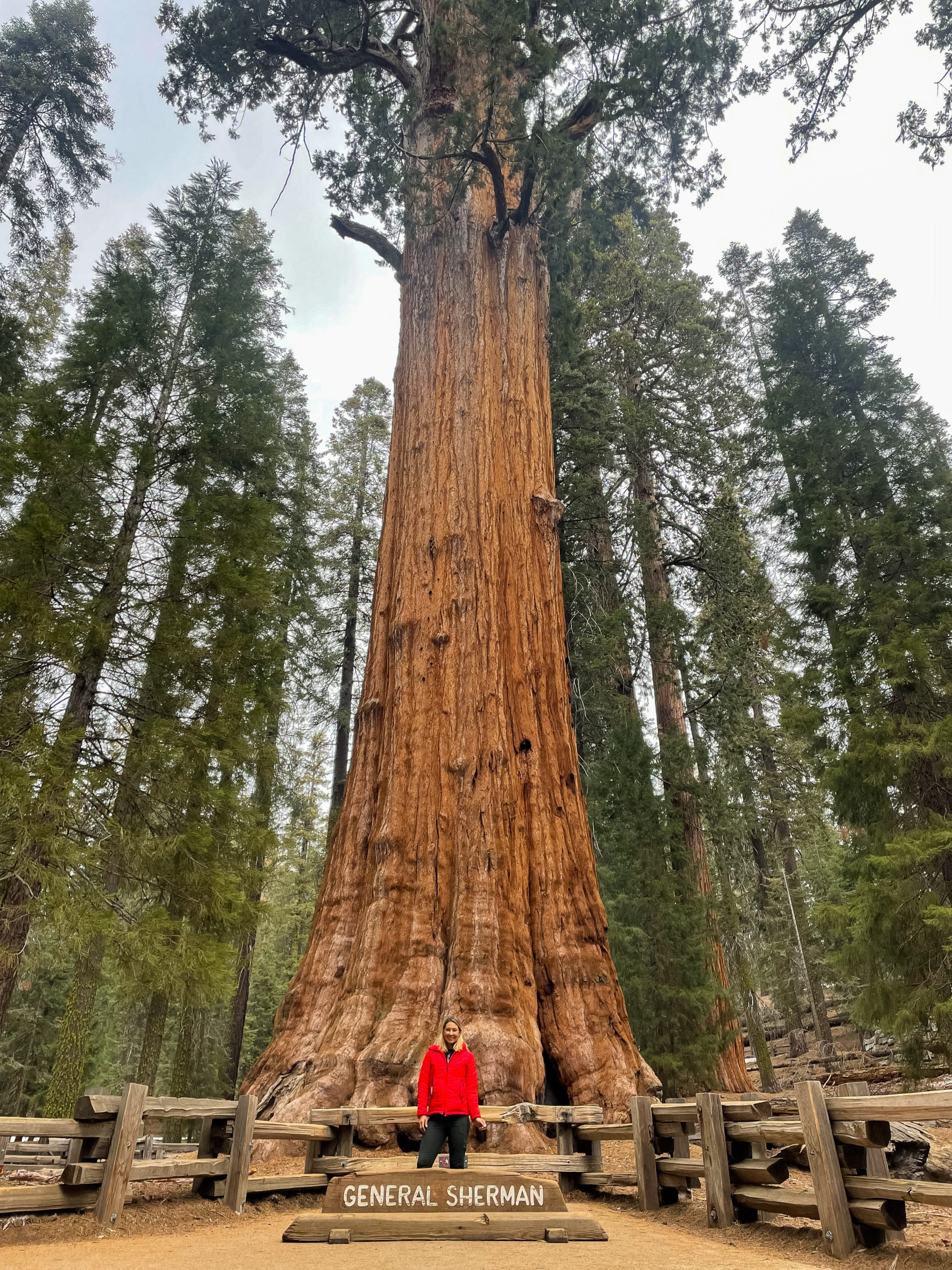 women in front of the general sherman tree