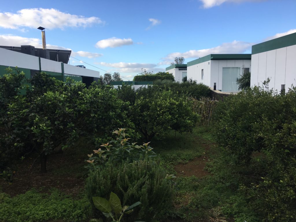 Quinta Santa Barbara Turistica - Azores Main buildings