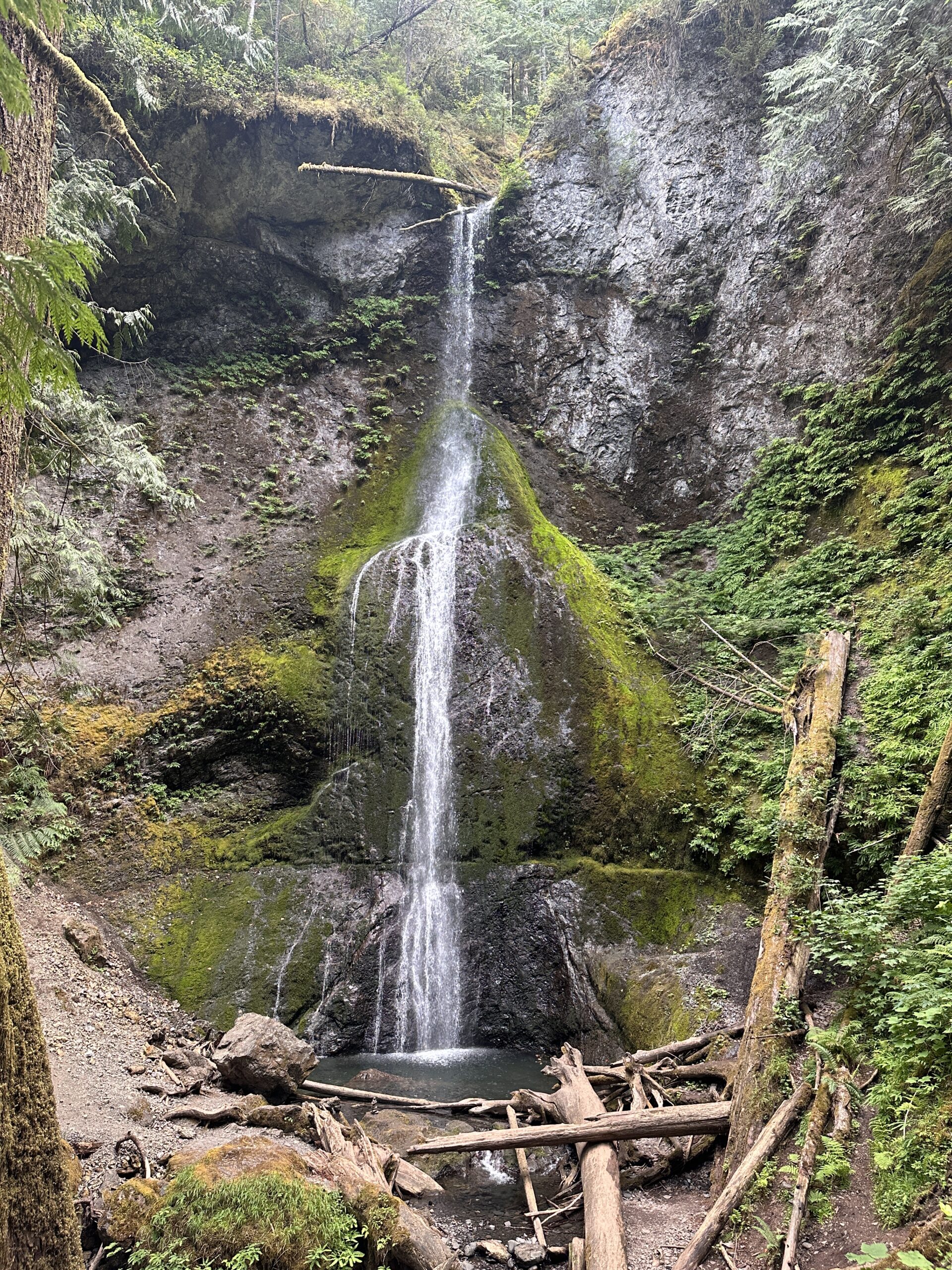 View of Marymere Falls within Olympic National Park on a short 1.5-mile loop trail near Lake Crescent during Alice Ford's 4-day solo hiking adventure in the park