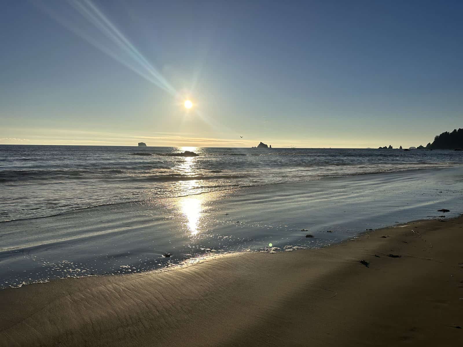 Sun setting over Ruby Beach in Olympic National Park on Alice Ford's final day of hiking and exploration around the Olympic Peninsula in Washington 