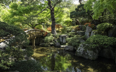 Famous gardens at the Kyoto Imperial Palace in japan