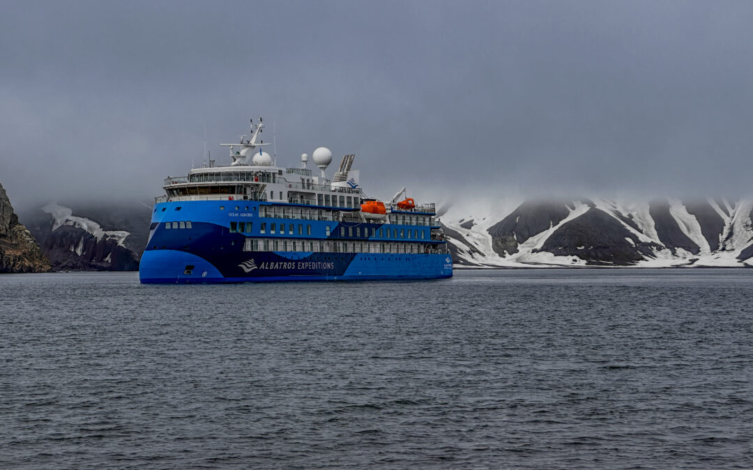 How to Choose the Best Antarctica Cruise & What You Can Expect