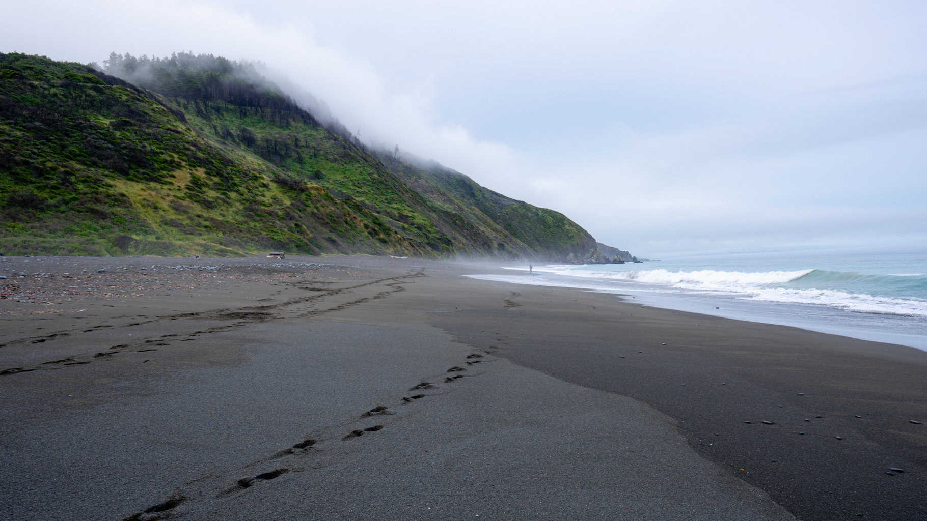 Stunning coastline Redwood National Park 7 day Itinerary to California National Parks 