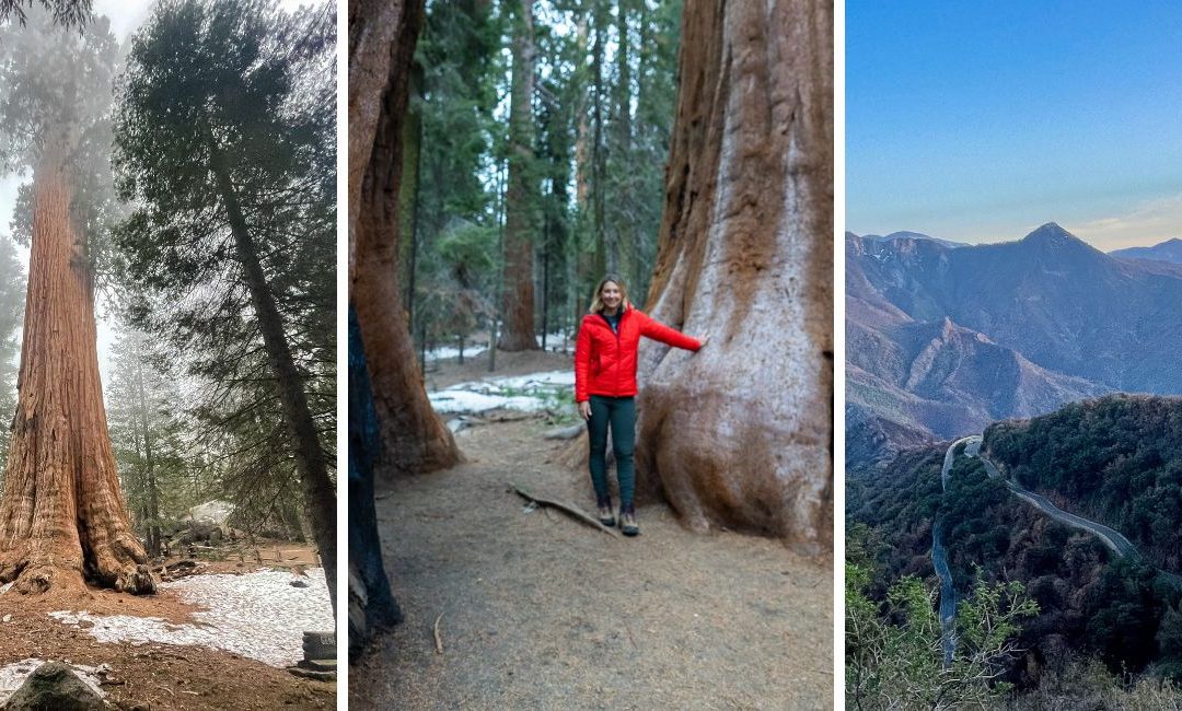 Sequoia National Park Planning Guide