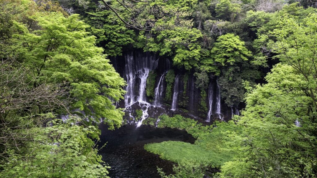 Peering down at Shiraito Falls near Mt. Fuji in a guide detailing the best adventure destinations in Japan with lush greenery and multiple channels of flowing water